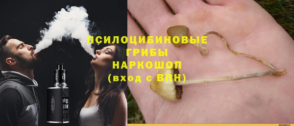 синтетический гашиш Горнозаводск