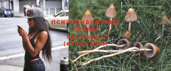 винт Горняк