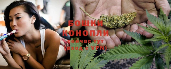 винт Горняк