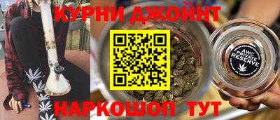 МДПВ Кингисепп