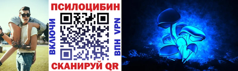 Галлюциногенные грибы Psilocybine cubensis гидра как зайти Можга
