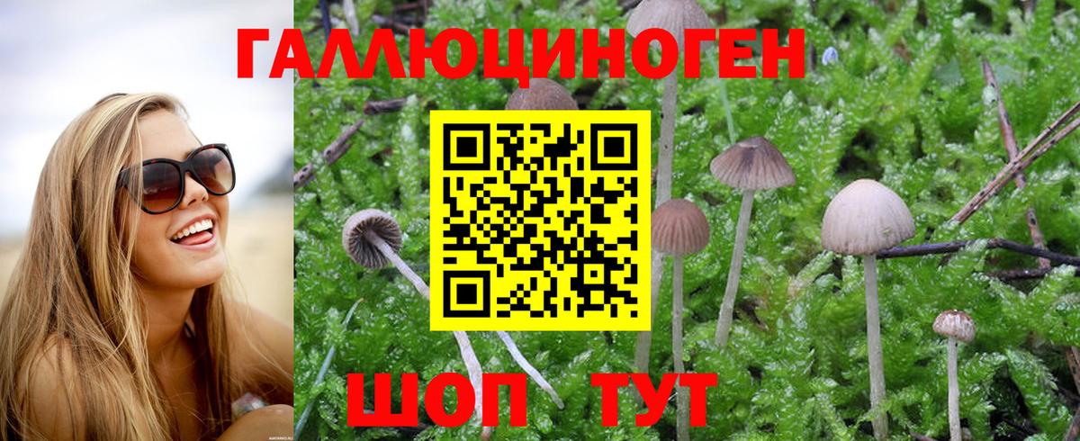 Псилоцибиновые грибы MAGIC MUSHROOMS  Вход с VPN  что такое наркотик  Можга 