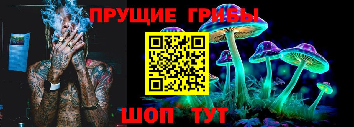 Псилоцибиновые грибы Psilocybe  Можга  Псилоцибиновые грибы Psilocybine cubensis 