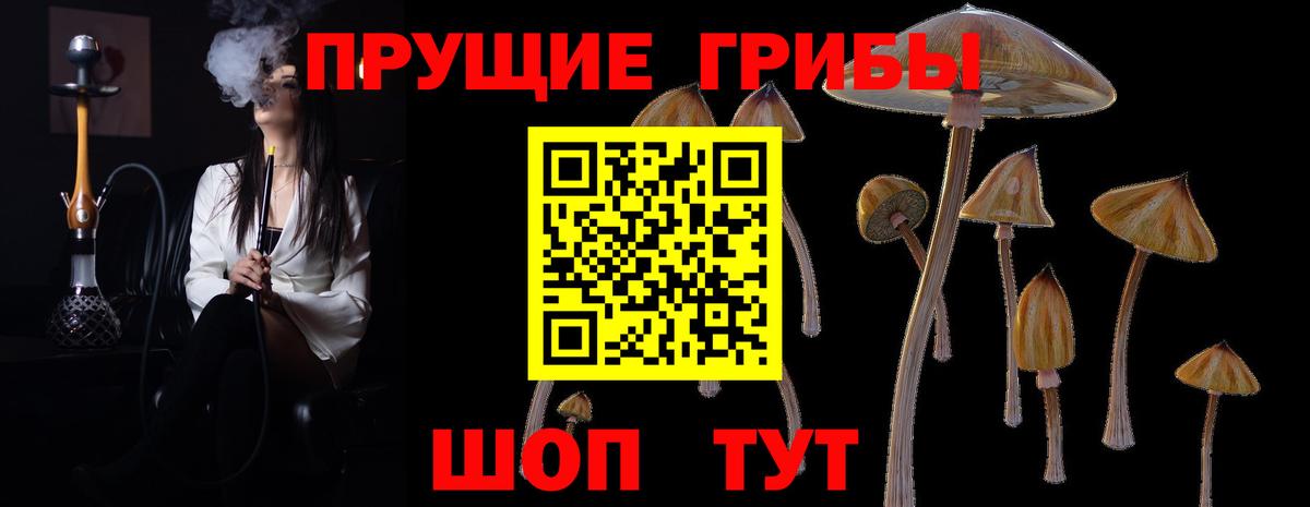 LSD-25  Можга  Codein  Магазин наркотиков  ГАШИШ  МАРИХУАНА  Меф МЯУ МЯУ кристаллы  ЭКСТАЗИ  Мефедрон кристаллы  Кокаин 