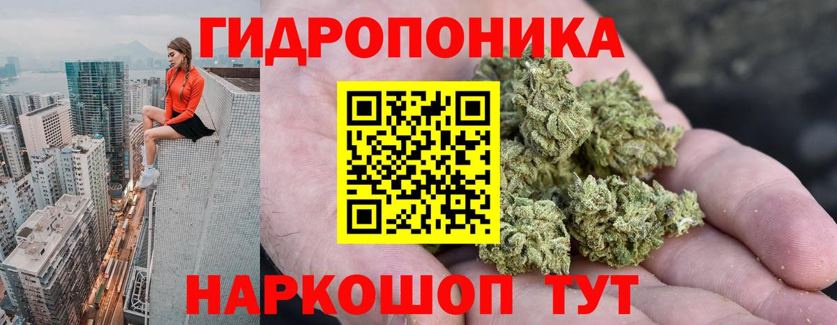 Марихуана Amnesia Можга